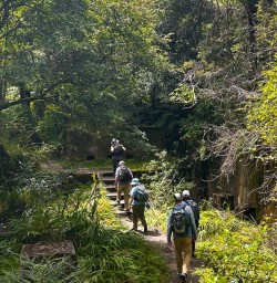 guests explore North Island forests SN17FEB26