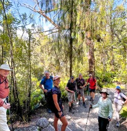 guests explore Paparoa National Park GE16FEB26