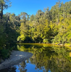 guests explore Paparoa National Park MP16MAR26