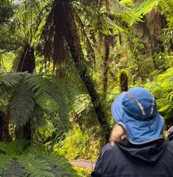 guests explore Paparoa national park MP02MAR26