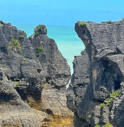 guests explore Punakaiki Pancake Rocks Rm26JAn26