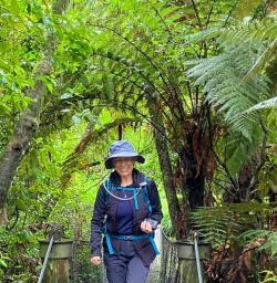 guests explore Pureora Forest GN17NOV25