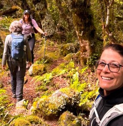 guests explore Pureora forest GN09MAR26