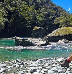 guests explore Routeburn Track GW24FEB26