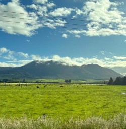 guests explore South Island GW17NOV25