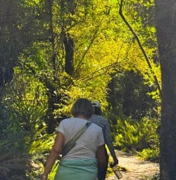guests explore South Island MP02FEB26