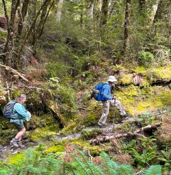 guests explore South Island RP02FEb26