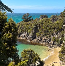 guests explore Stewart Island beaches GW27DEC25