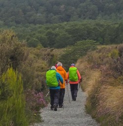 guests explore Tongariro National Park GN23MAR26