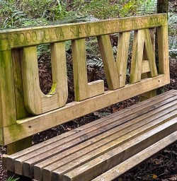 guests explore Ulva Island bench GW27DEC25