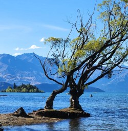 guests explore Wanaka RP02FEB26