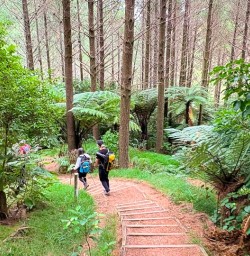 guests explore Whanganui National park GN09MAr27