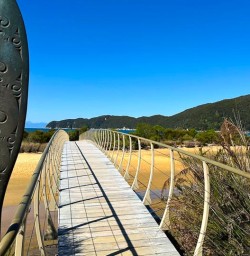 guests explore abel tasman national park GE16MAR26