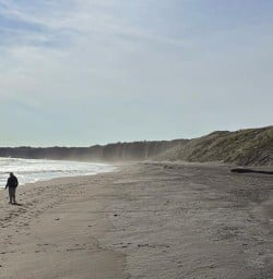 guests explore beaches North Island GN09MAr27