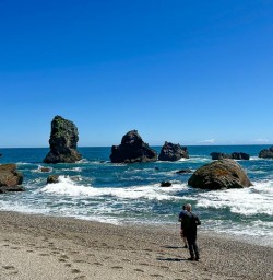 guests explore beaches of west coast GE16FEB26