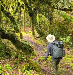 guests explore forests in egmont national park GN23MAR26