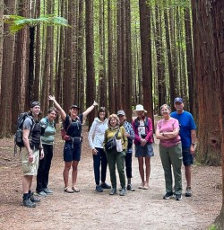 guests explore forests of North Island SN03FEB26