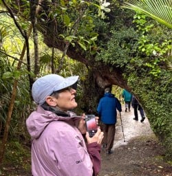 guests explore in paparoa national park MP23MAR26