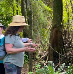 guests explore lush forest South Island KC16FEB26