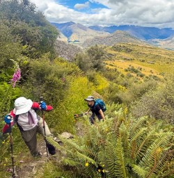 guests explore rocky mountain track in wanaka RM12JAN26