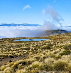 guests explore the kepler track guided hike GW10FEB26