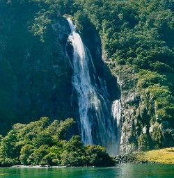 guests explore waterfalls in Milford Sound PS02MAR26
