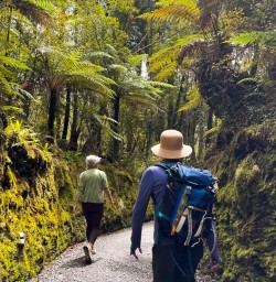 guests explore west coast forests RM12JAN26