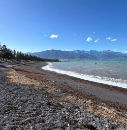 guests exploring Kaikoura RM17NVO25