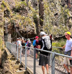 guests exploring Karangahake Window Walk SN24FEB26