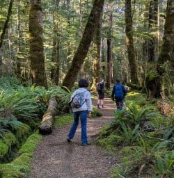 guests exploring Kepler Track RM23MAR26