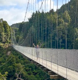 guests exploring Maramataha Bridge Timber Trail GN23FEB26
