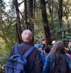 guests exploring Milford Sound TrackGE30MAR26