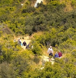guests exploring Omarama Clay Cliffs RP02FEB26