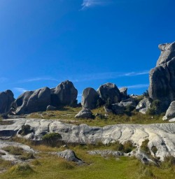 guests exploring South Island GW24FEB26