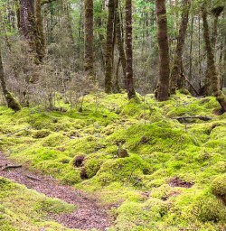 guests exploring fiordland national park GE23FEB26