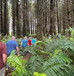 guests exploring forests Kohutapu Lodge SN18NOV25