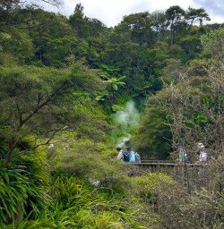 guests exploring waimangu valley SN03FEb26