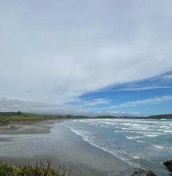 guests exploring west coast MP01DEC25