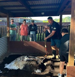 guests fire hangi Kohutapu Lodge SN04NOV25