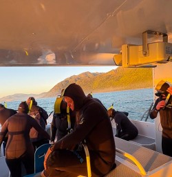 guests getting ready for dolphin swim RM26JAN26