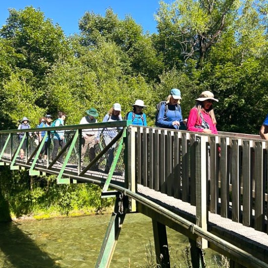 guests hike Arrow River Trail MP19JAN26