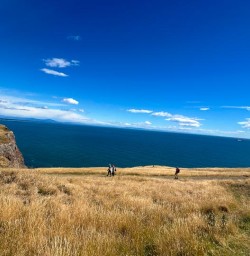 guests hike Godley Head Track MP22DEC26