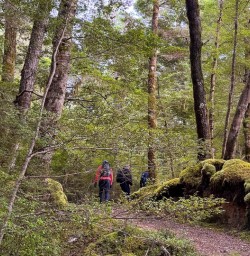 guests hike Kepler Track KC 2FEB26