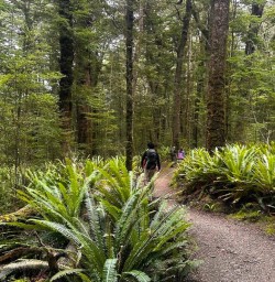 guests hike Kepler Track MP23MAr256jpg