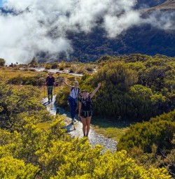 guests hike Key summit in Fiordland RM23FEB26