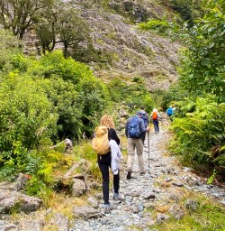 guests hike Milford Track GE12JAN26