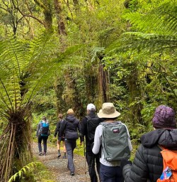guests hike Milford Track GE24NOV25