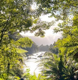 guests hike Milford TrackGE30MAR26
