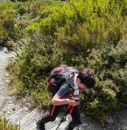 guests hike Mt Cook National Park MP24NOV25