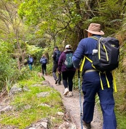 guests hike North Island SN10MAR26 
